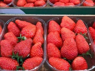 Fresas frescas para la venta Todas las variedades disponibles,