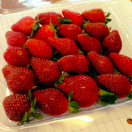Detalles del embalaje Punnet alto: opción 1: 20 Punnet x 225 Gm = 4.50 Kg NW / CRTN opción 2: 12 Punnet x 400 Gm = 4.80 kg NW / CRTN Punnet plano: opción 1: 10