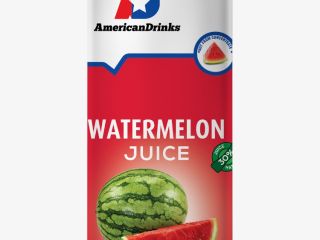 Detalles del empaque Volumen de latas: 200 ml 24