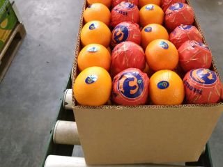 Somos una oficina de distribución con sede en Dinamarca