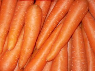 Nombre del producto Venta mayorista Venta fresca zanahoria Variedad