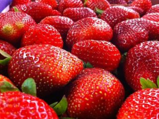 Nombre del producto Fresa, frutas frescas, Made in Japan