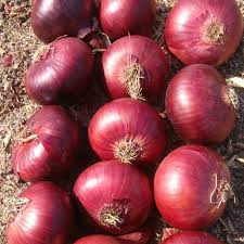 Somos los principales productores de todo tipo de verduras frescas en el mundo, así como la mejor calidad, por lo que estamos buscando compradores que puedan