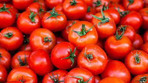 Somos los principales productores de todo tipo de verduras frescas en el mundo, así como la mejor calidad, por lo que estamos buscando compradores que puedan