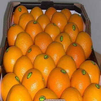 Fresco Fresco Fresco para la venta Tamaños: 44/48/56/64/72/80/88/100/113/125 Junta: cajas estándar Peso neto 15 kg, peso bruto 16 kg / caja Envío : 25 MT /