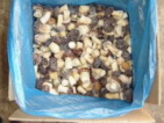 Producto: hongo seco del bosque negro Especificaciones Material: hongo