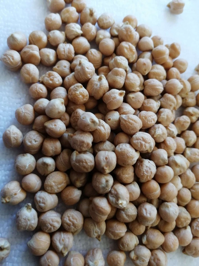 Garbanzos o garbanzos
