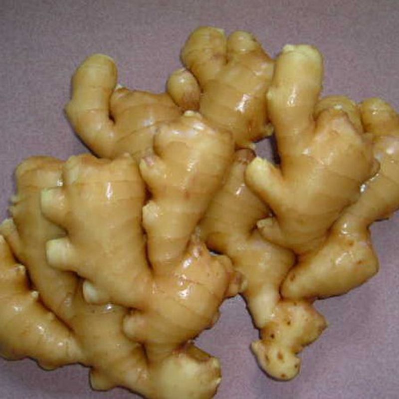 Nombre del producto Fresh Ginger Crop Nuevo color de color amarillo sabor picante grado de calidad superior, grado AAA Tipo de cultivo Piel orgánica Suave y