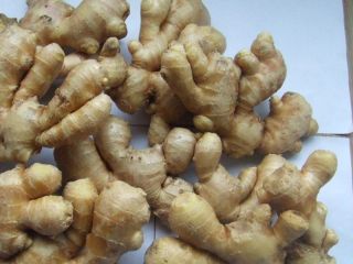 Nombre del producto Fresh Ginger Crop Nuevo color de