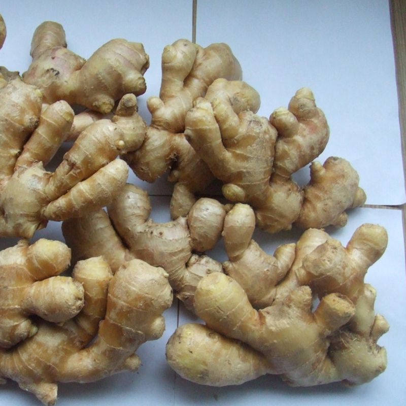 Nombre del producto Fresh Ginger Crop Nuevo color de color amarillo sabor picante grado de calidad superior, grado AAA Tipo de cultivo Piel orgánica Suave y
