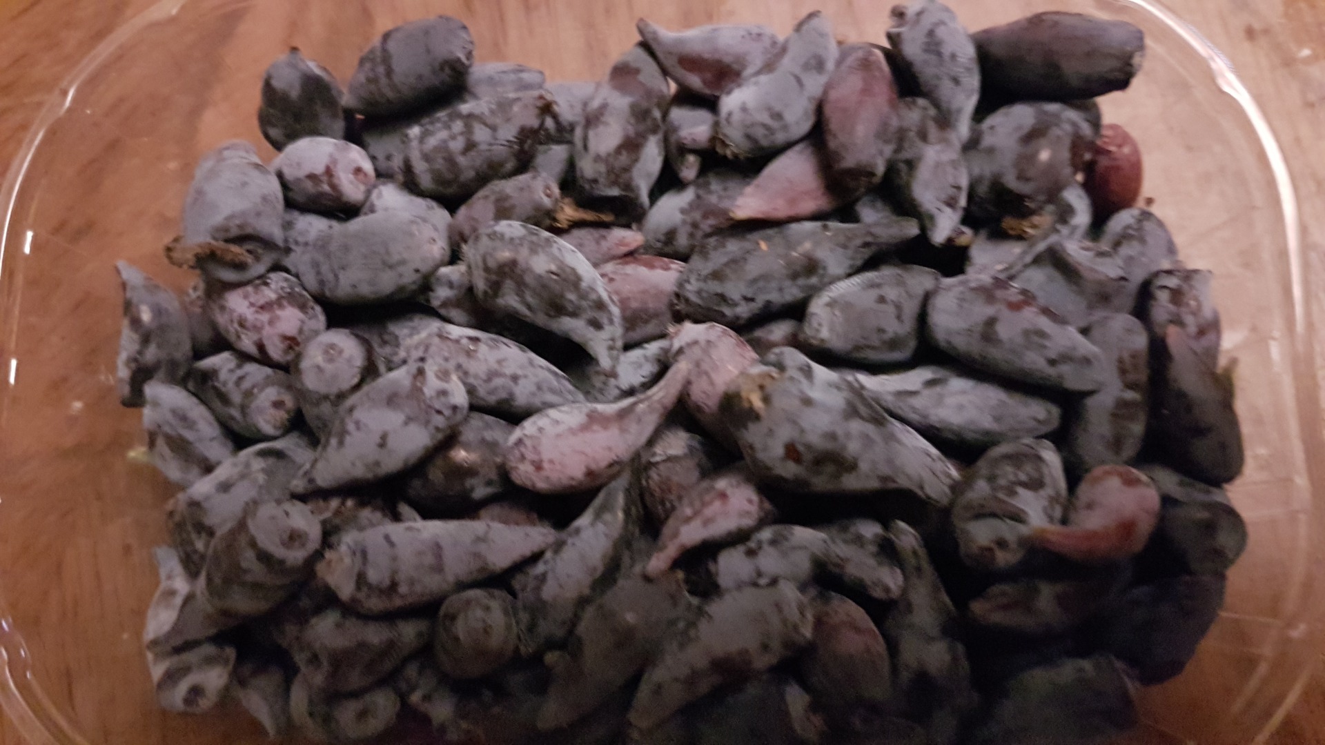 Venderé frutas de bayas de Kamchatka