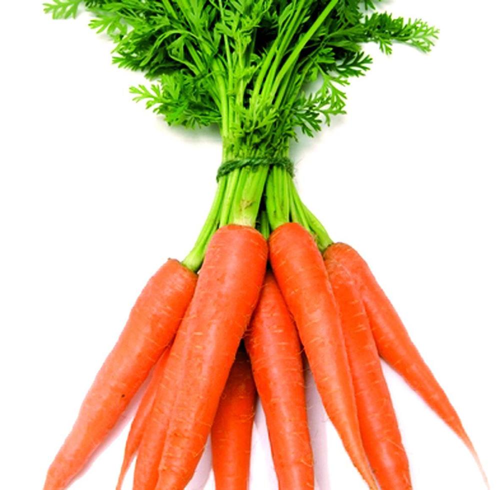 Zanahoria fresca Tamaños S: 80-150g M: 150-200g L: 200-250g XL: 250-300g 3L: 300g y más Origen del producto: provincia de Shandong, China Características: 1)