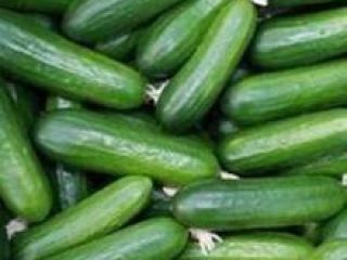 Nuestros productos se envasan de acuerdo con los requisitos