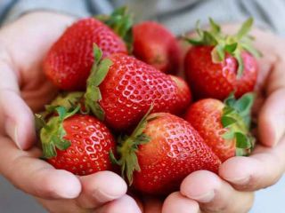 Venderé el paquete de fresas frescas y congeladas en