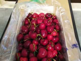 Venderé cereza dulce, agradable, fresca, importada de españa.