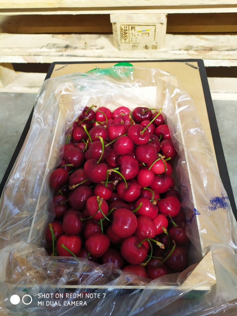 Venderé cereza dulce, agradable, fresca, importada de españa