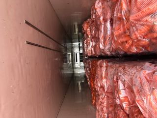 Zanahorias almacenadas de alta calidad listas para la venta.