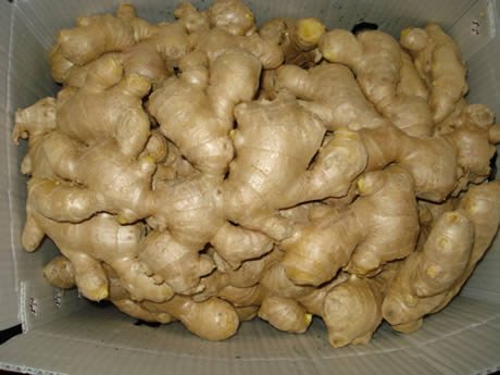 Nombre Ajo blanco puro, Ajo blanco normal Lugar de origen: Tailandia Tiempo de cosecha: Característica redonda: Con piel gruesa y liviana, todo y textura