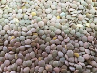 La empresa polaca ofrece a la venta productos agrícolas