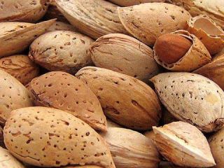 Almendras sin pelar para procesar. Venderé almendras para procesar.