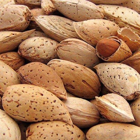 Almendras sin pelar para procesar