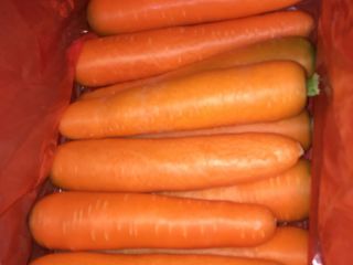 Zanahorias frescas para la venta de correo electrónico