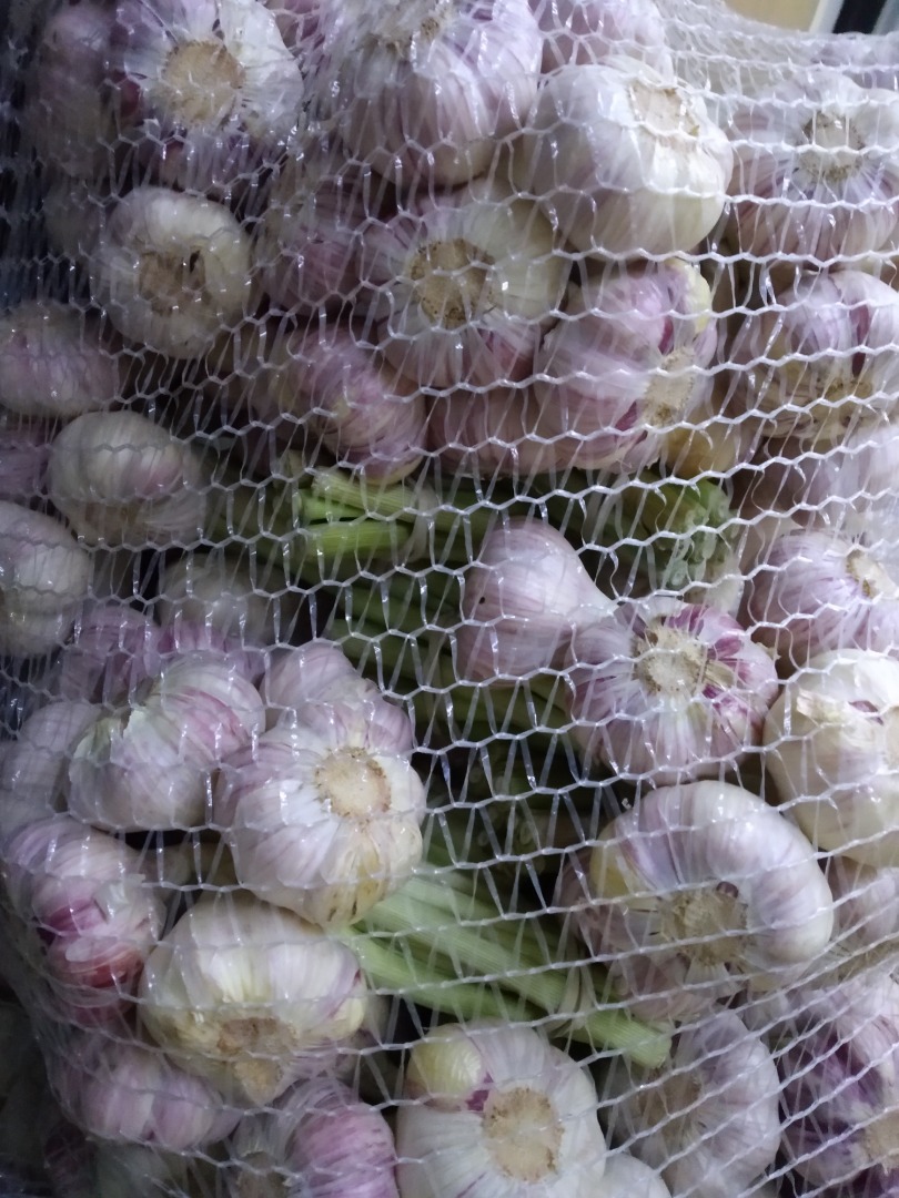 Venderé Harnas de variedad de ajo