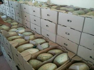 Venderé melón. El país de origen es Uzbekistán. Muy