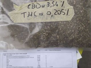 Presento una oferta de flores de cáñamo para extracción
