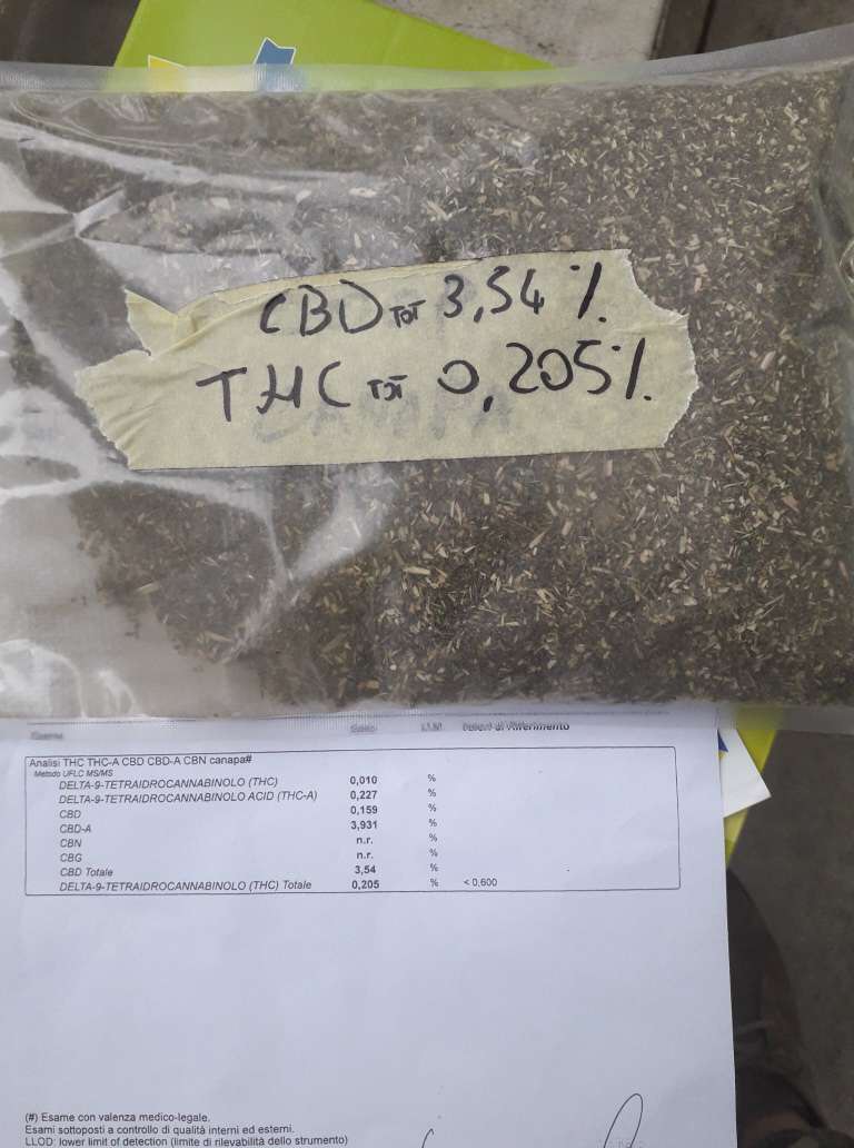 Presento una oferta de flores de cáñamo para extracción / biomasa