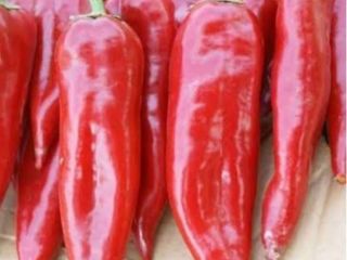 Venta de pimiento rojo Origen de las mercancías Turquía