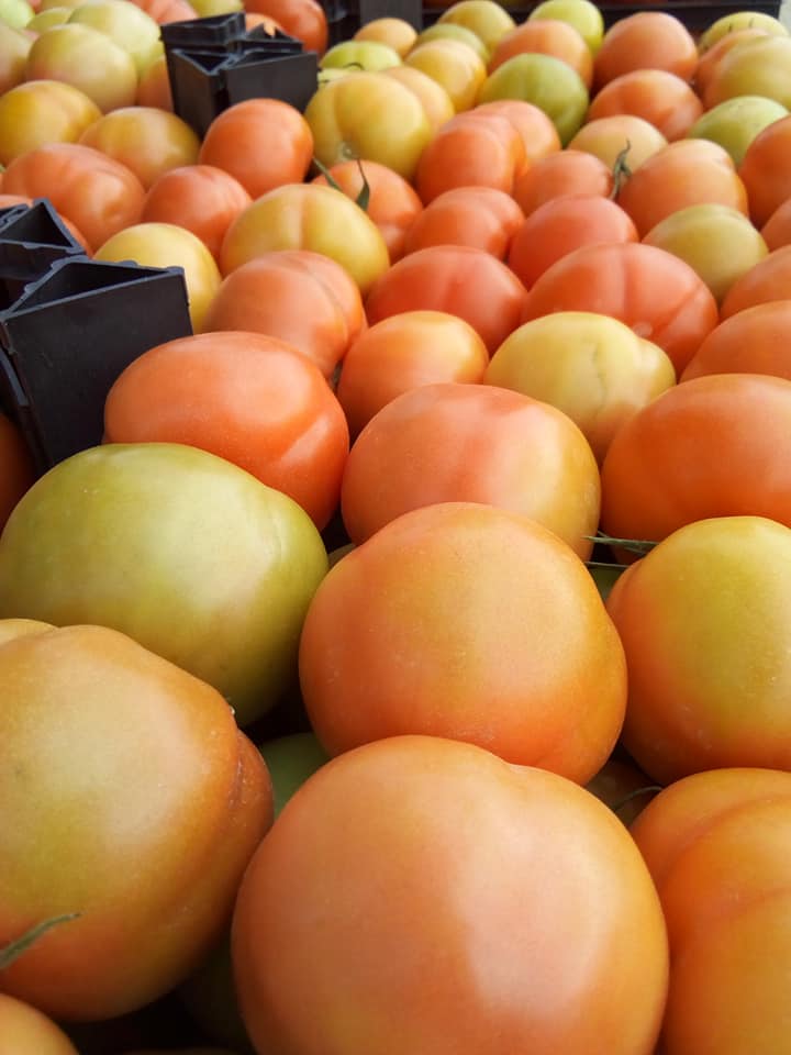 Nos complace ofrecerle tomates frescos (cereza, ciruela, cereza) envasados en bolsas de malla 10 / kg a precios muy competitivos