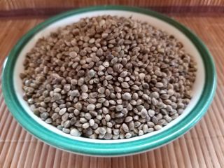 Semillas de cáñamo (Sativa) grado USO31 semillas de cáñamo
