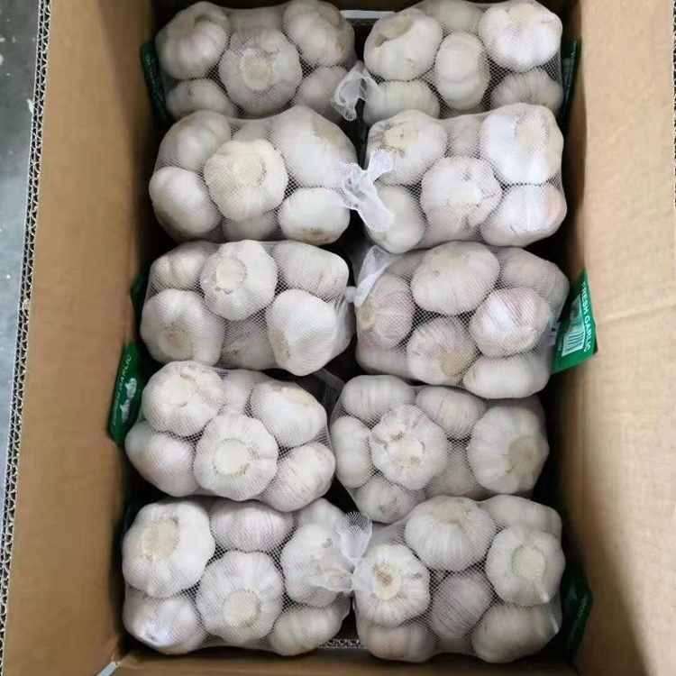 Detalles rápidos Tipo: Ajo Tipo de producto: Liliaceous Vegetabless Estilo: Fresco Tamaño (cm): 5.5 Certificación: HACCP SGS Peso (kg): 0.05 Lugar de origen: