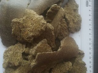 Vendemos pastel de colza. Mercancías de origen ucraniano, proteína