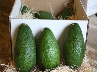 Nuestra compañía es un importante proveedor de productos agrícolas