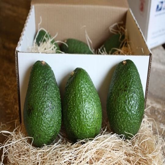 Nuestra compañía es un importante proveedor de productos agrícolas de Sudáfrica, proporcionamos frutas y verduras frescas, especias, tenemos una gran granja de