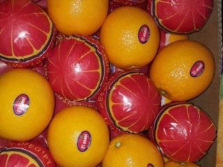 Capacidad de suministro: 5000 toneladas métricas / toneladas métricas