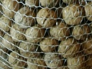 Nueces de tu propio jardín. Alrededor de 300 kg.