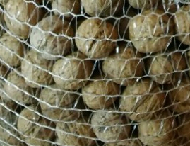 Nueces de tu propio jardín