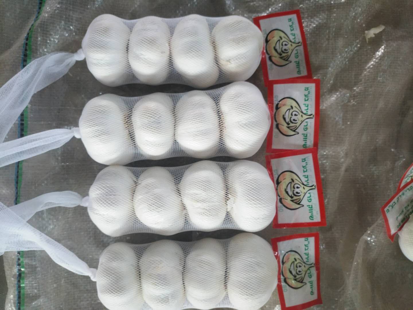 Exportación de ajo chino y ajo blanco puro Tamaño 5.0 cm, 5.5 cm, 6.0 cm, 6.5 cm La forma del empaque se personaliza de acuerdo con los requisitos del cliente