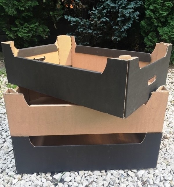 Ofrecemos cajas de cartón de alta calidad para frutas y verduras