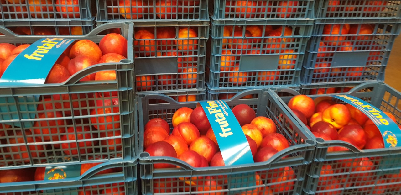 Fia Gogot Fruit ofrece nectarina fresca y durazno del huerto al precio del fabricante, empacado y seleccionado de acuerdo con sus requisitos