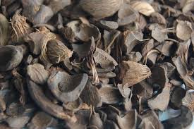 Actualmente estamos en la cima de nuestra cosecha de nueces de palma