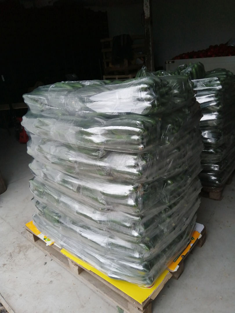 La explotación agrícola en la comuna de Przytyk para la temporada 2019 ofrece PAPRYKE un VERDE VERDE e incluso un JARDÍN de invernadero