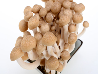 Hypsizygus Marmoreus Mushrooms Package: 150g * 40 / ctn,