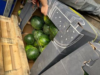 Hola, vendo sandías, país de origen Hungría