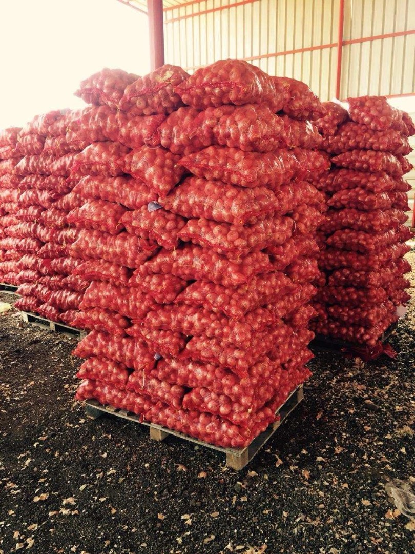 Col, remolacha, arco de Bielorrusia, a partir de 20 t, excelente calidad, también en el caso de cebollas, zanahorias, remolachas, repollo, papas, toda la
