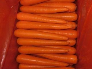 Variedad de zanahorias: Tipo de zanahorias: Certificación común 9001