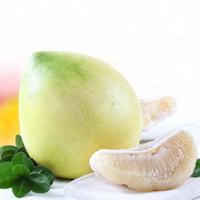 Somos productores directos de pomelo, tenemos dos bases de siembra de pomelo, que cubren un área de 800 acres en total
